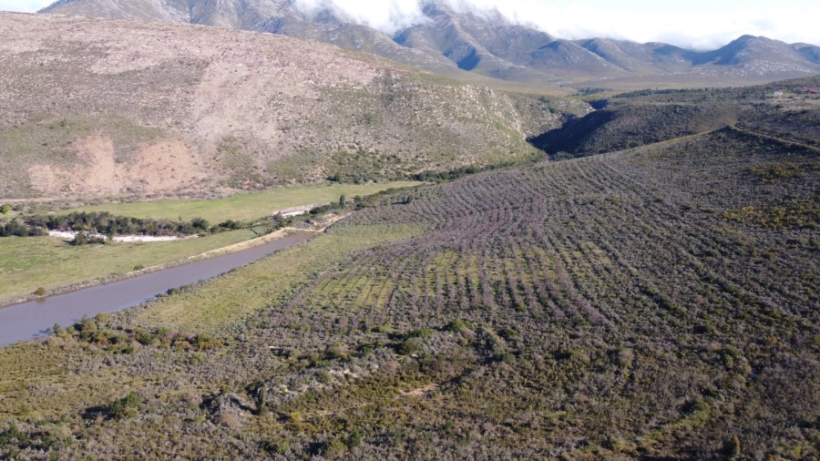 0 Bedroom Property for Sale in Joubertina Eastern Cape